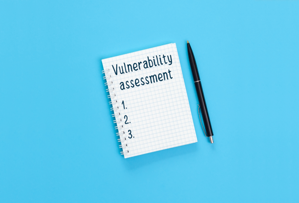 Don't Risk It! Why You Shouldn't Skip Vulnerability Assessments